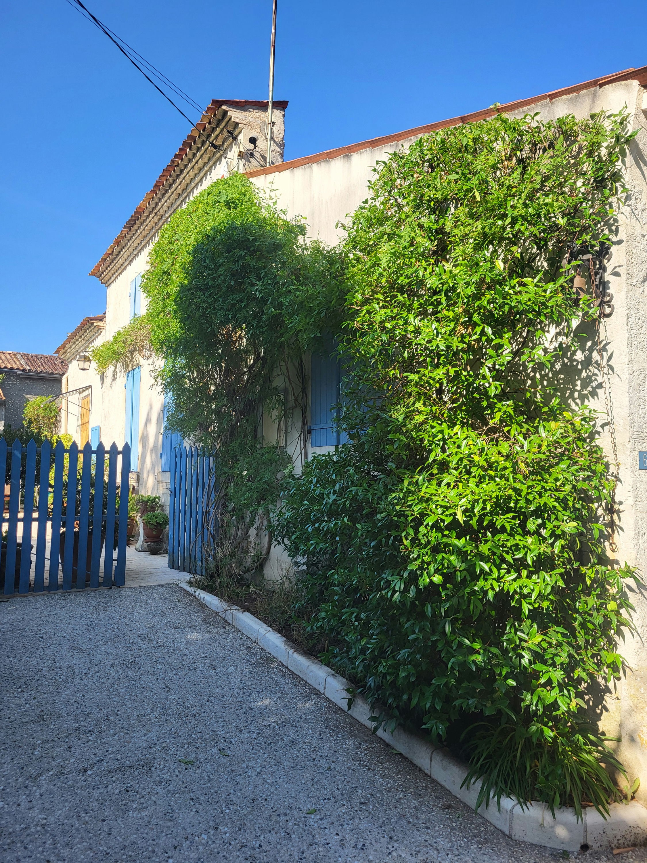 Jasmin et arbuste taillés le long d'une façade à l'entrée d'une propriété, portail bleu à Courcoury