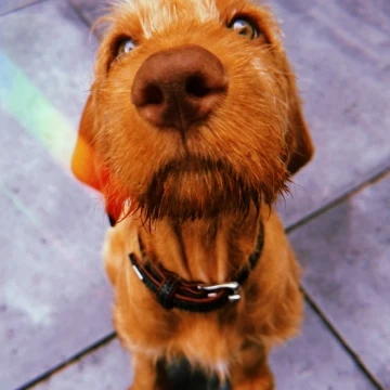 ""
