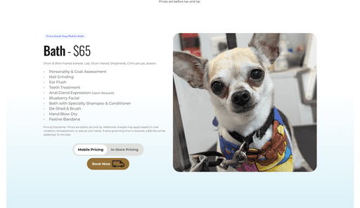 Custom Website Images Design By Moores Designs - Servicing Northwest Arkansas Businesses wags to riches pet grooming