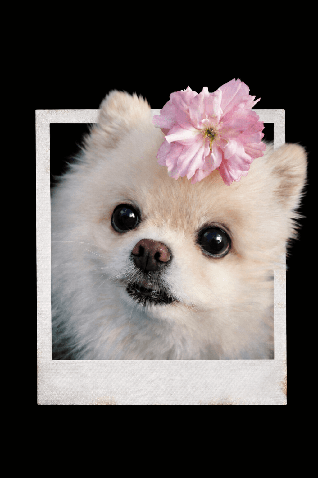 A profile picture of this person