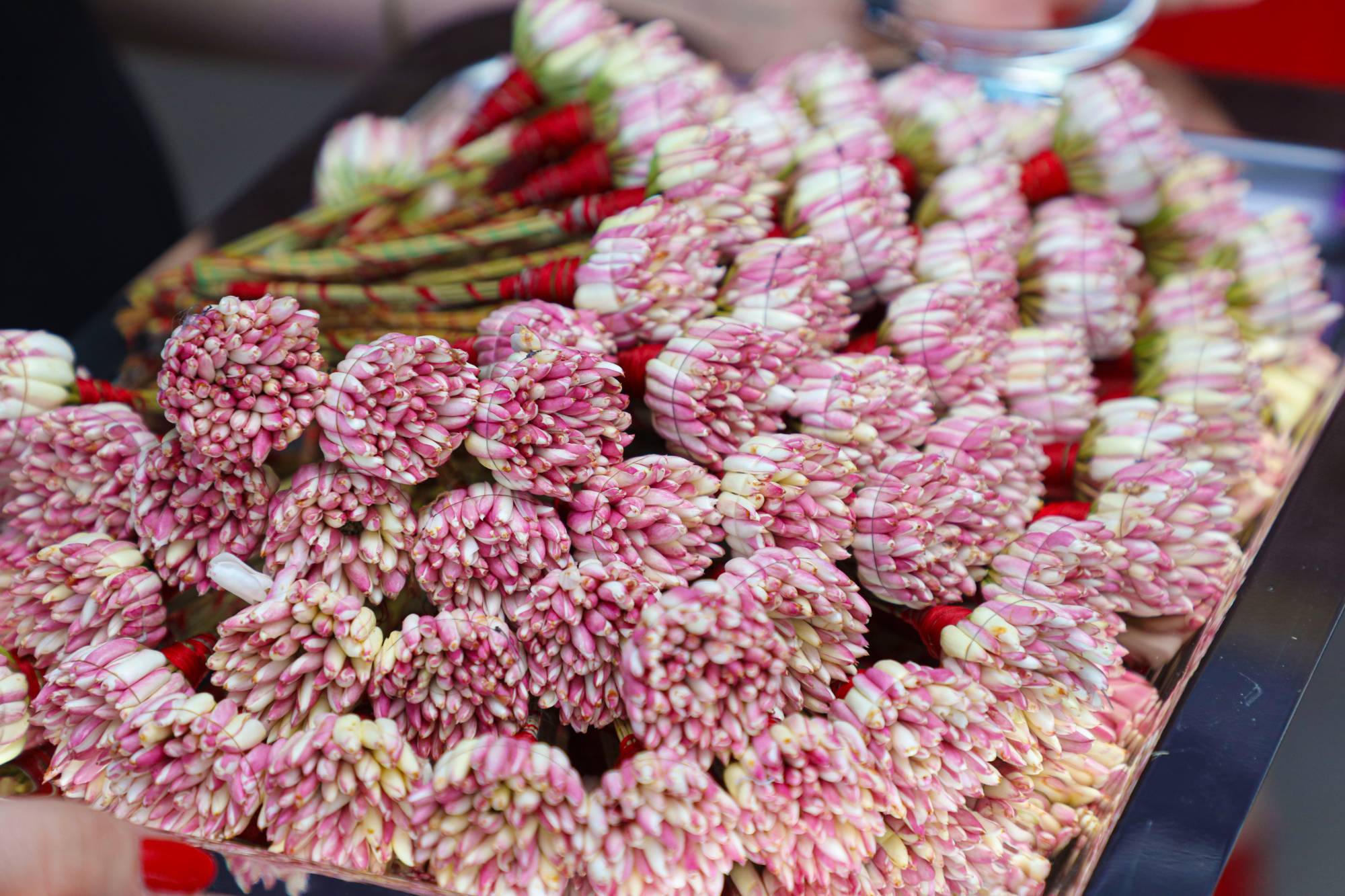 Bouquets de jasmin tunisien offerts aux invités d’un congrès international