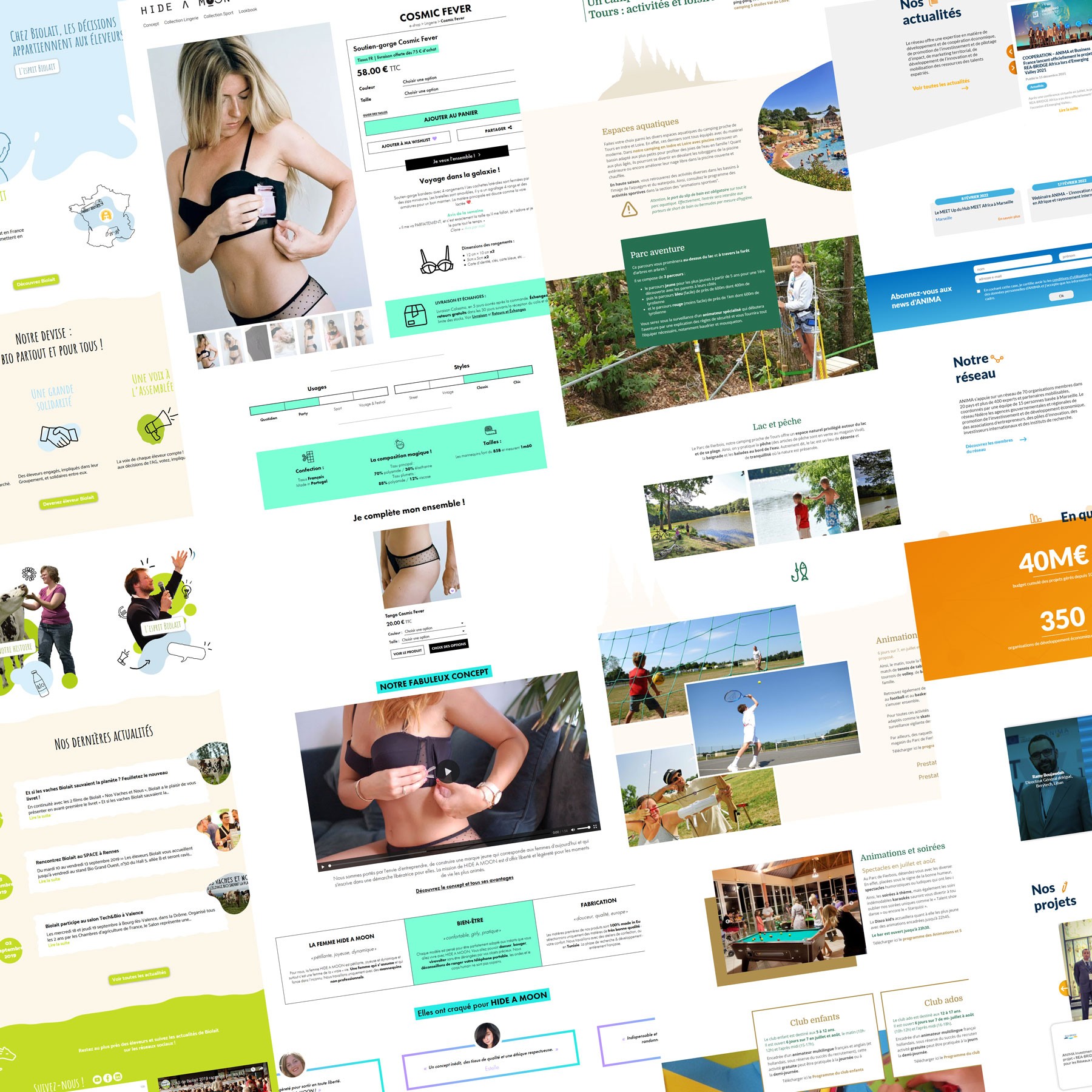 Assemblage de plusieurs images provenant de différents projets d'UI design que j'ai réalisé. On peut voir, entre autre, des maquettes pour un  site de camping, pour un site de lingerie, pour un site de collecteur de lait bio...
