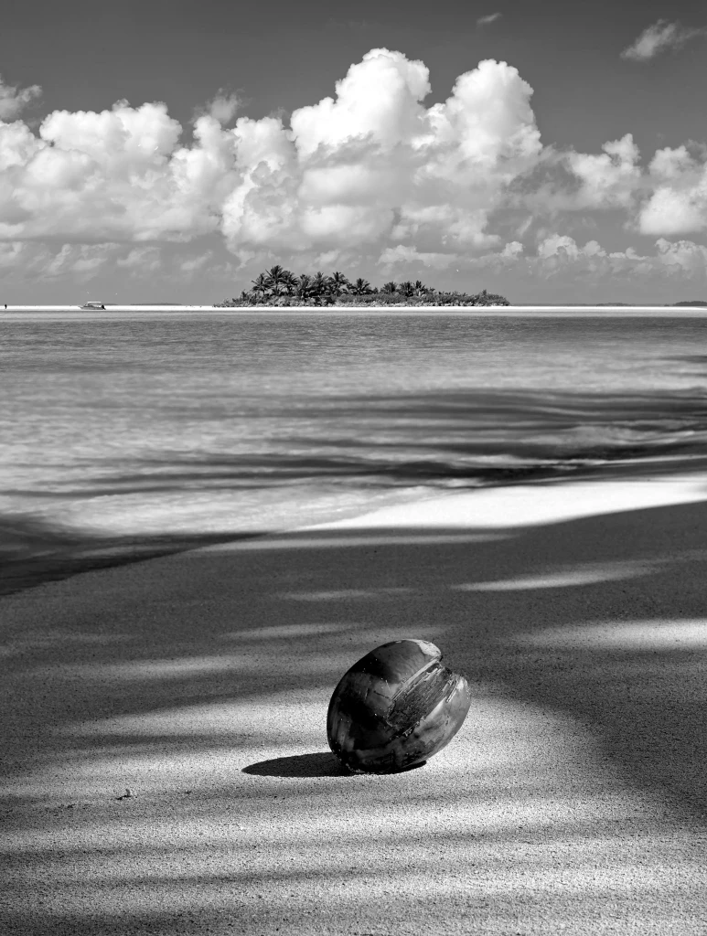 Coconut on a white sand beach overlooking Aitutaki lagoon in the Cook Islands, South Pacific private jet destination
