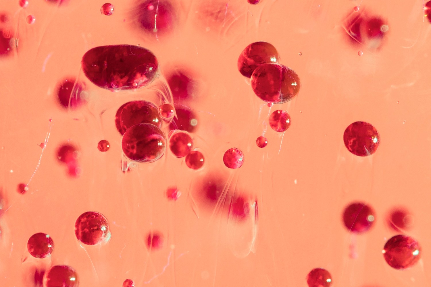 traceable ingredients supplement