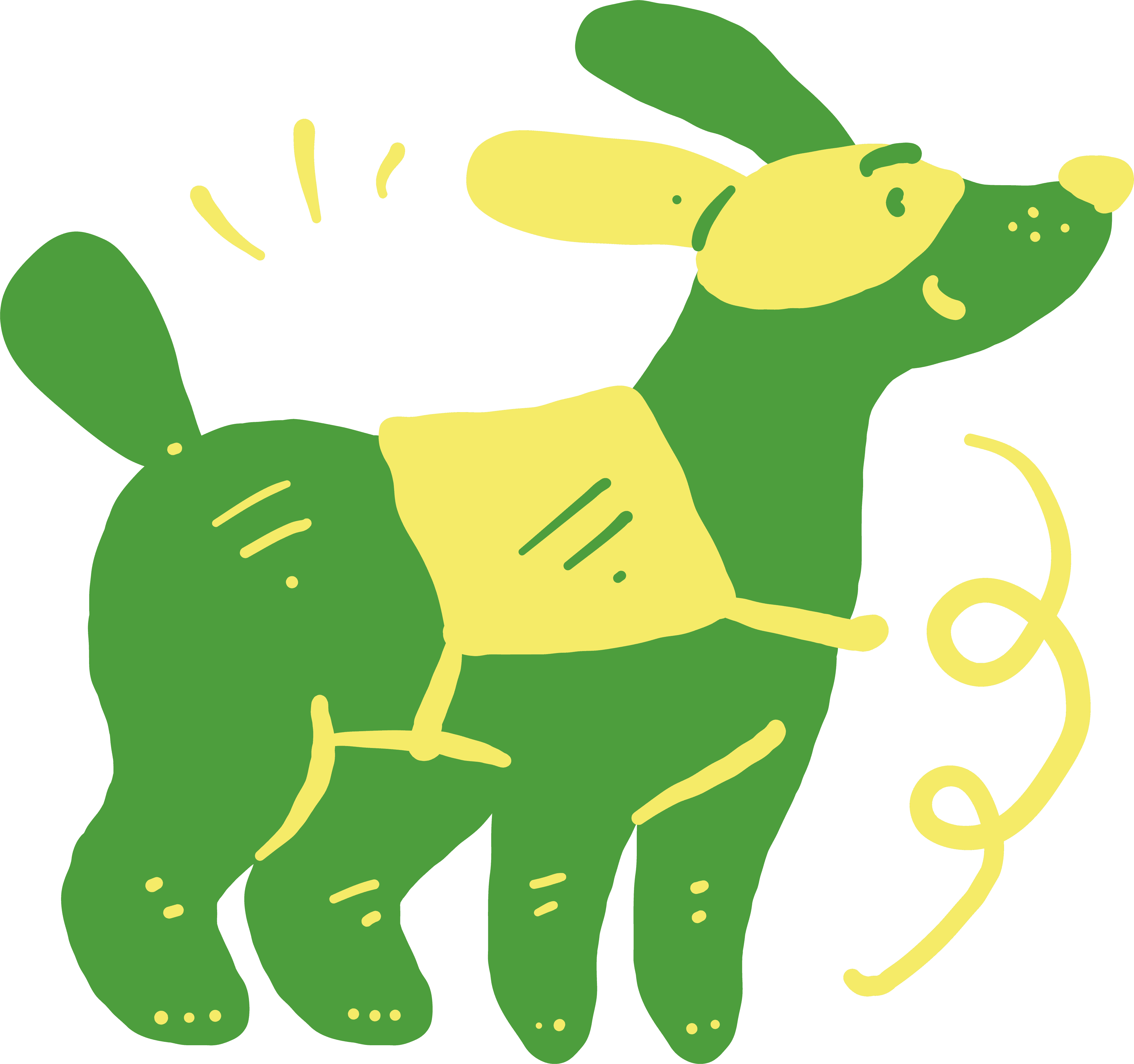 Dog in a super hero outfit