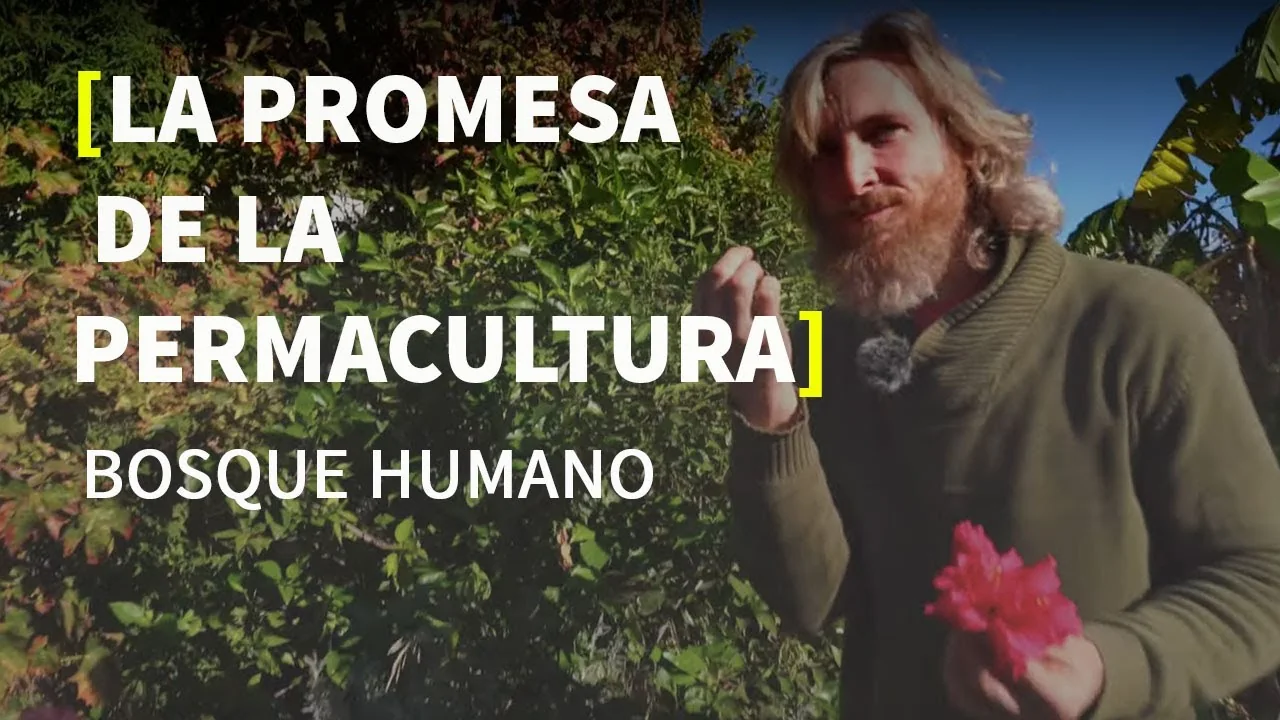 Seth Andrew Thompson at Bosque Humano