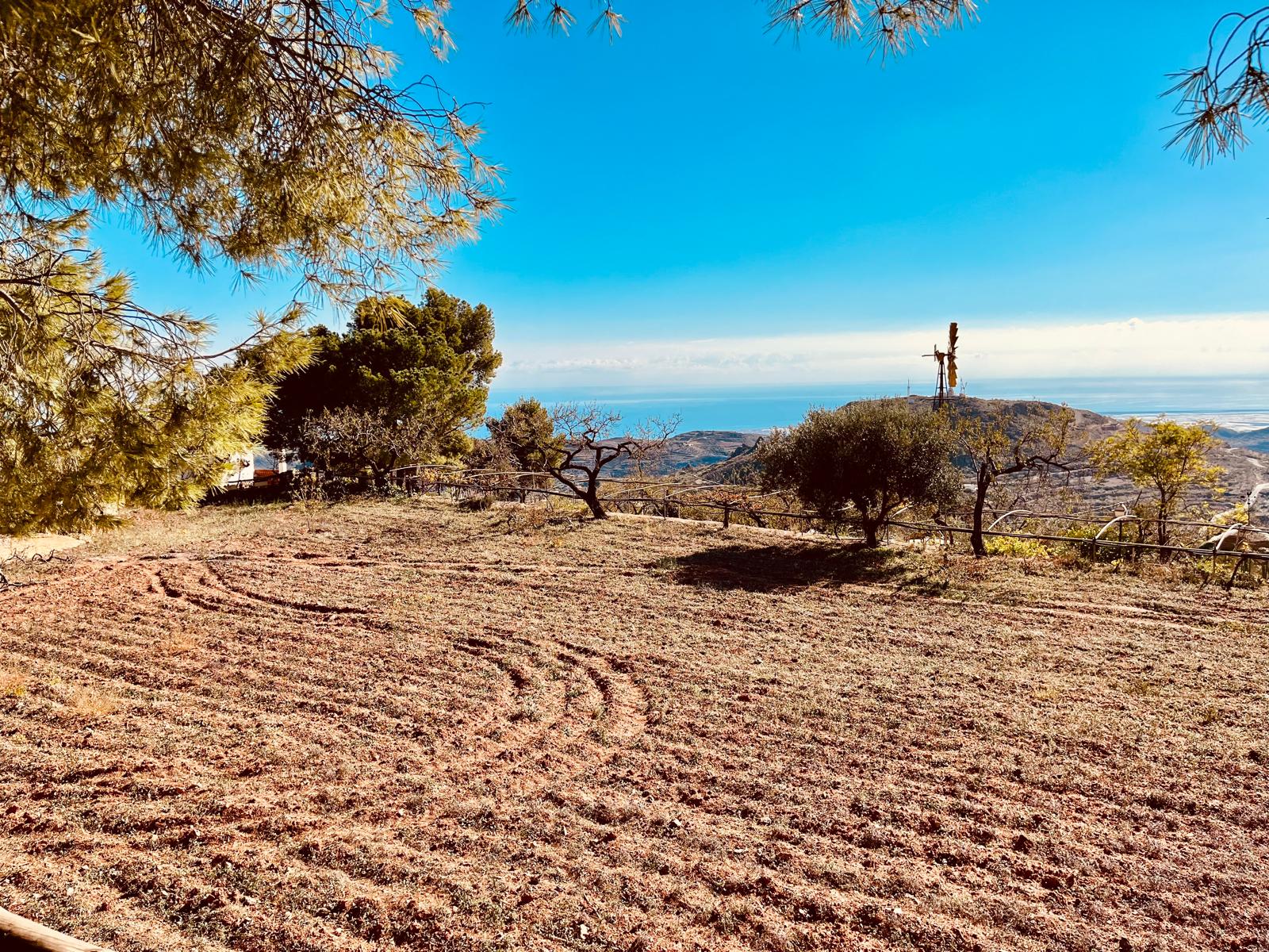 Magnifique Finca Almeria Felix — 14
