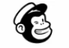 Mailchimp Icon