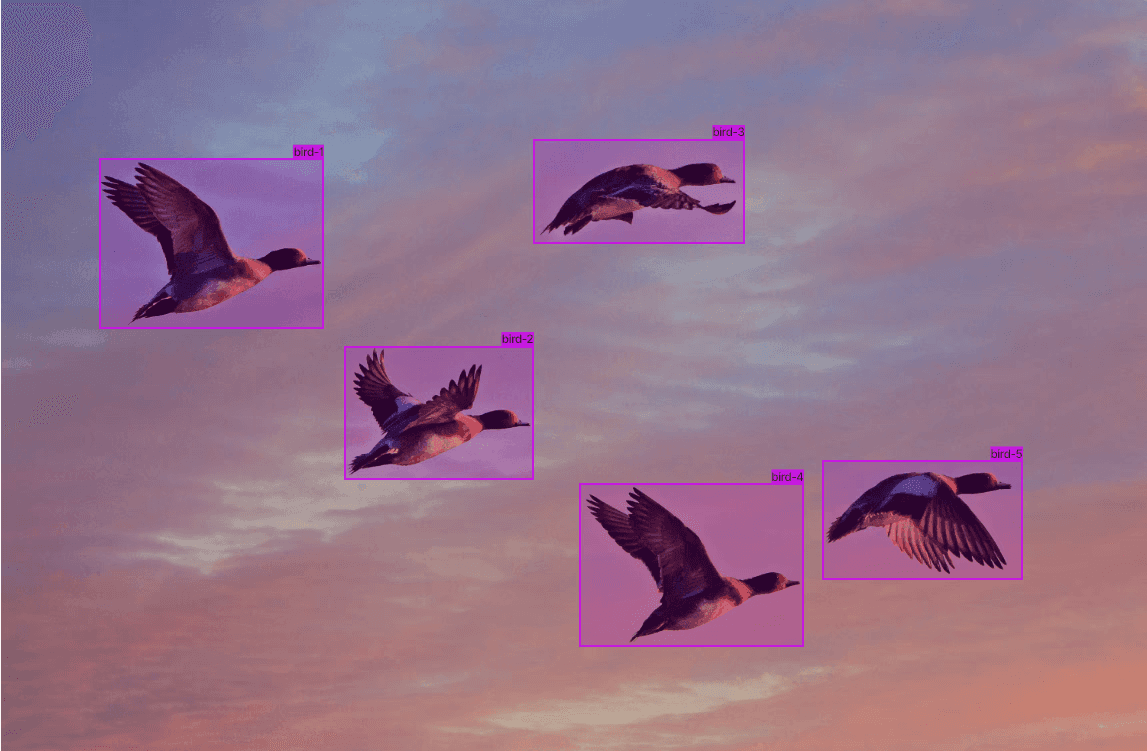 Ducks flying through the air and segmented by AI