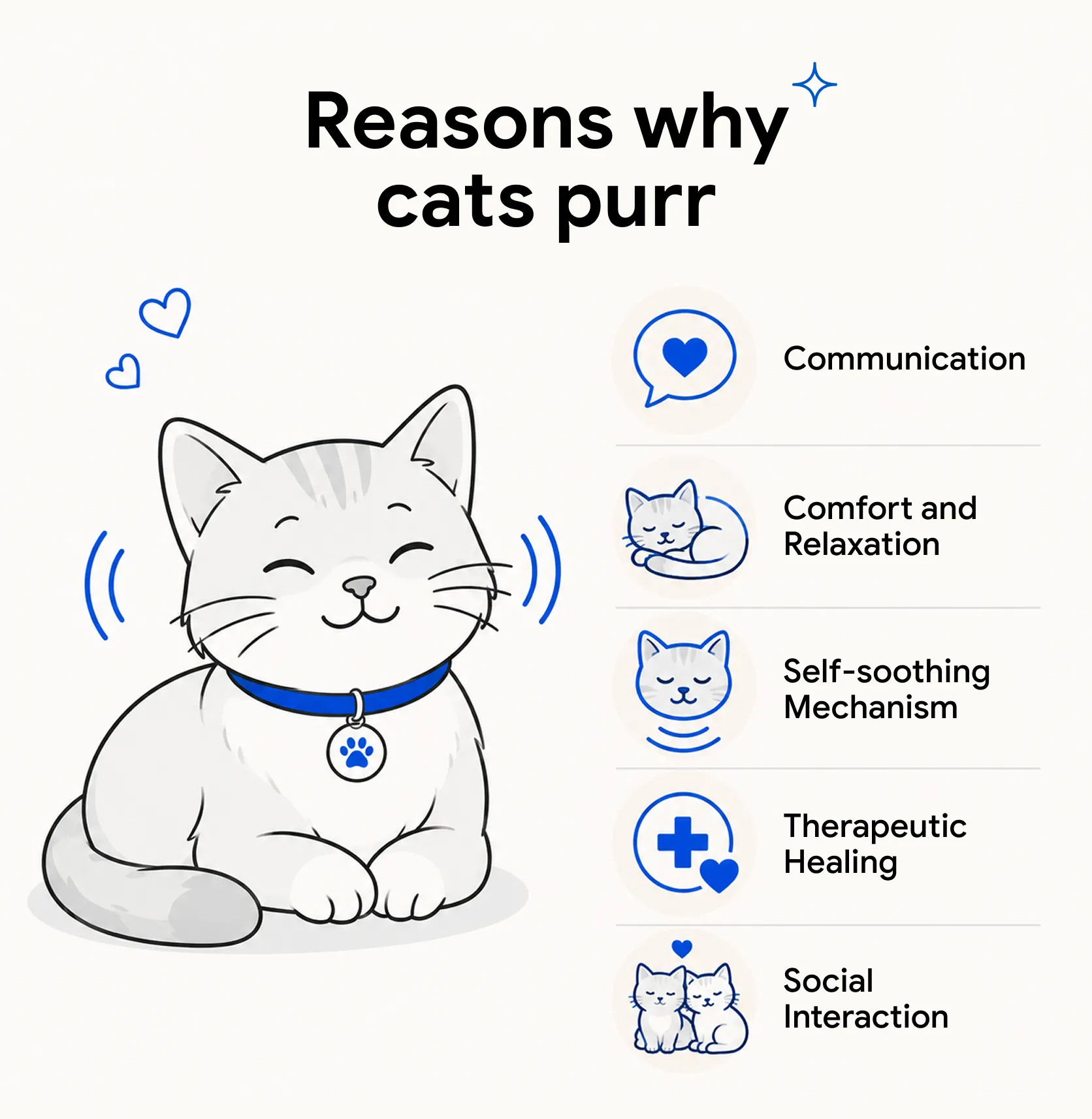 An infographic showing the reasons why cats purr.