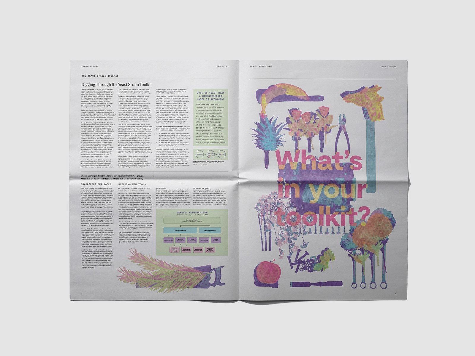 Top Crop Newspaper Design