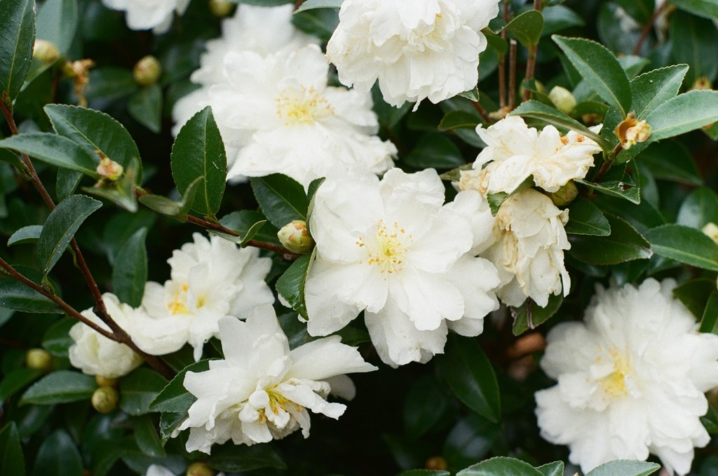 a pair of cell phones on a concrete block