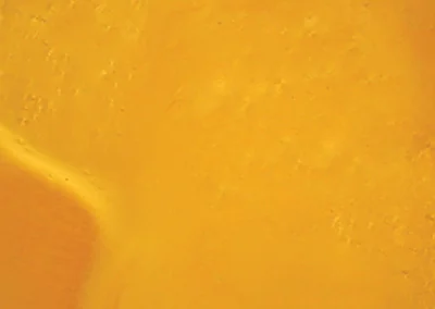 Metallic Color Samples - Cario