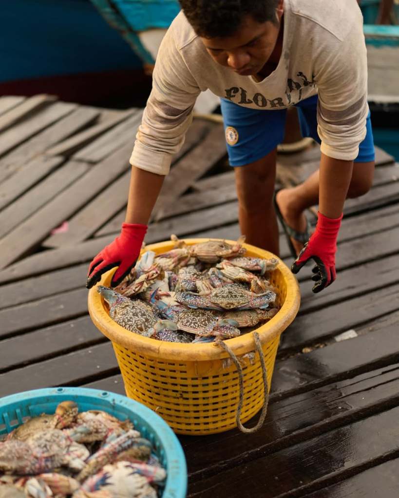 A young boy in a white shirt and blue shorts, wearing red gloves, is carrying a yellow basket filled with various crabs while balancing on a wooden dock.