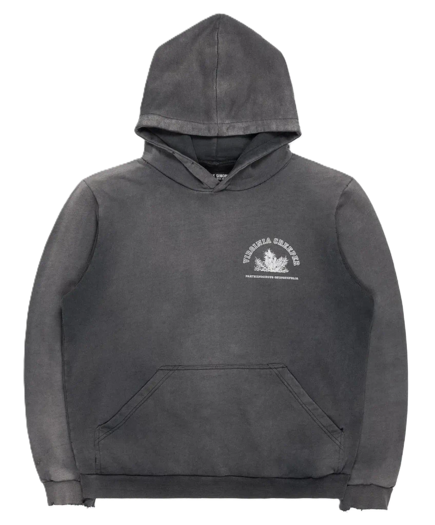 Raf Simons Virginia Creeper Hoodie Gray