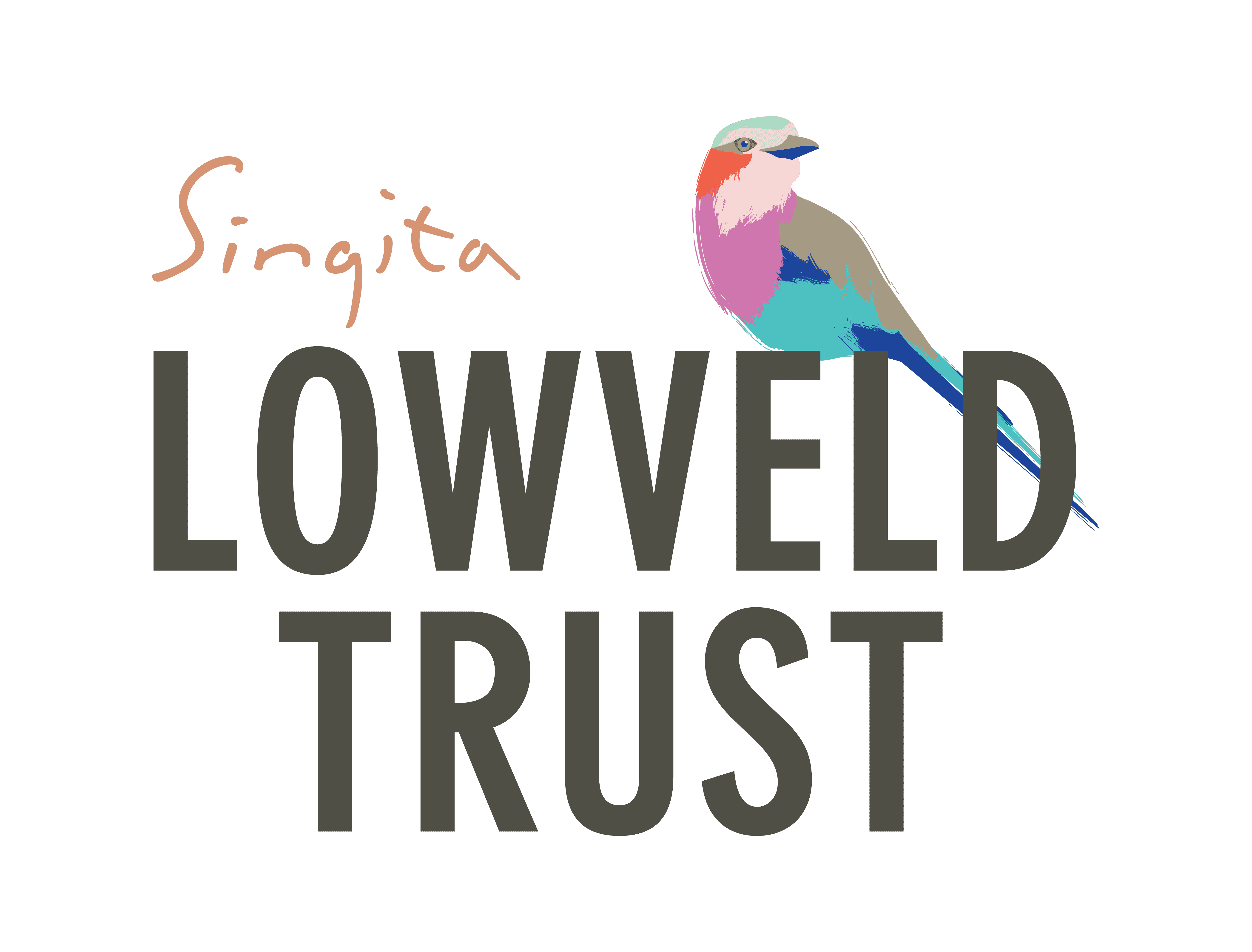 pouring milk in a coffee