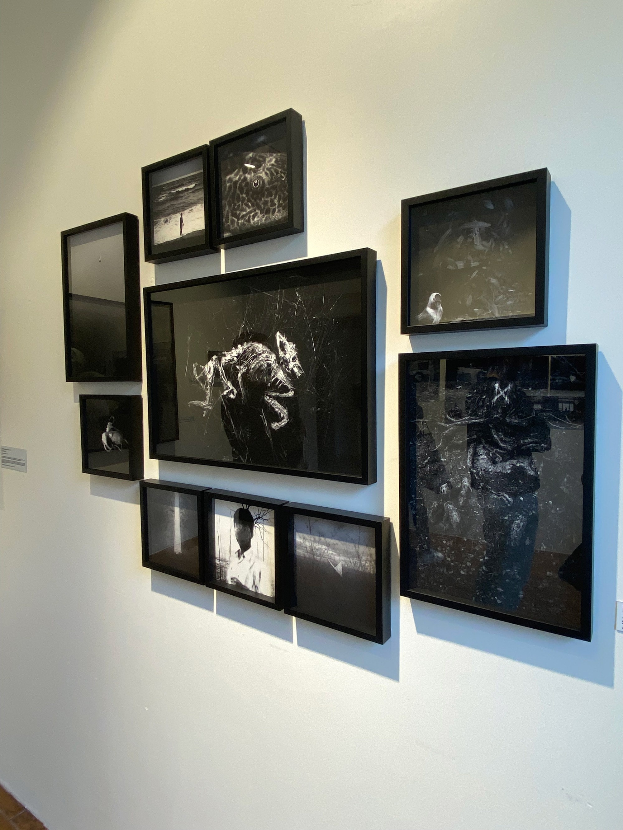 Modern home office setup with a monitor, ergonomic chair, keyboard, and indoor plants near a window with blinds.