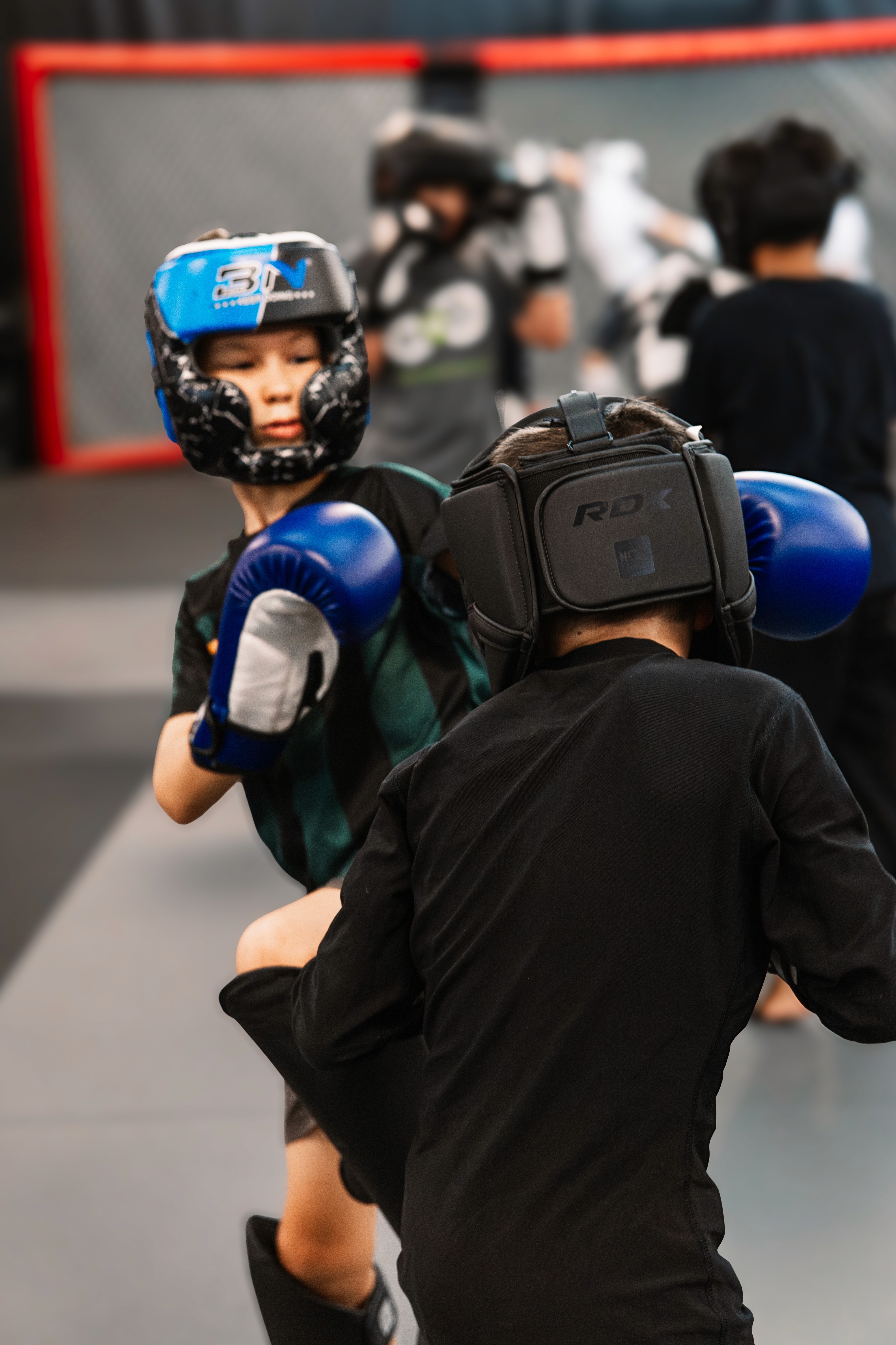 Adult Jiu-Jitsu Classes