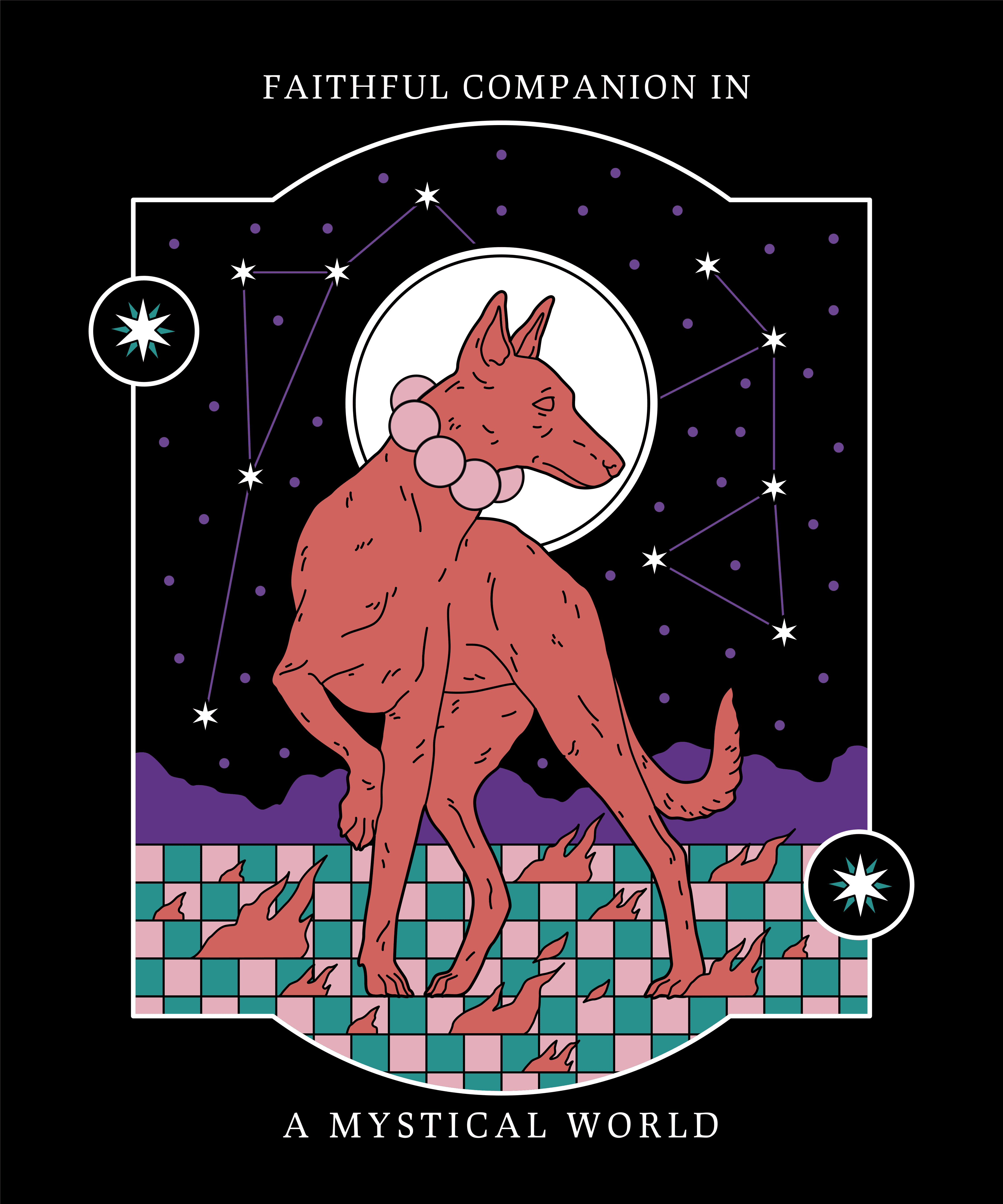 gato fuera de la caja