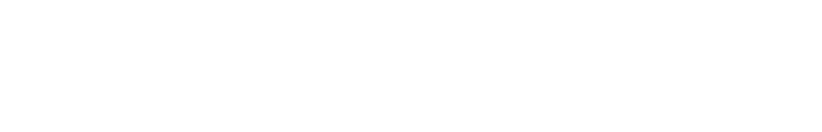 Sporting Solution logo