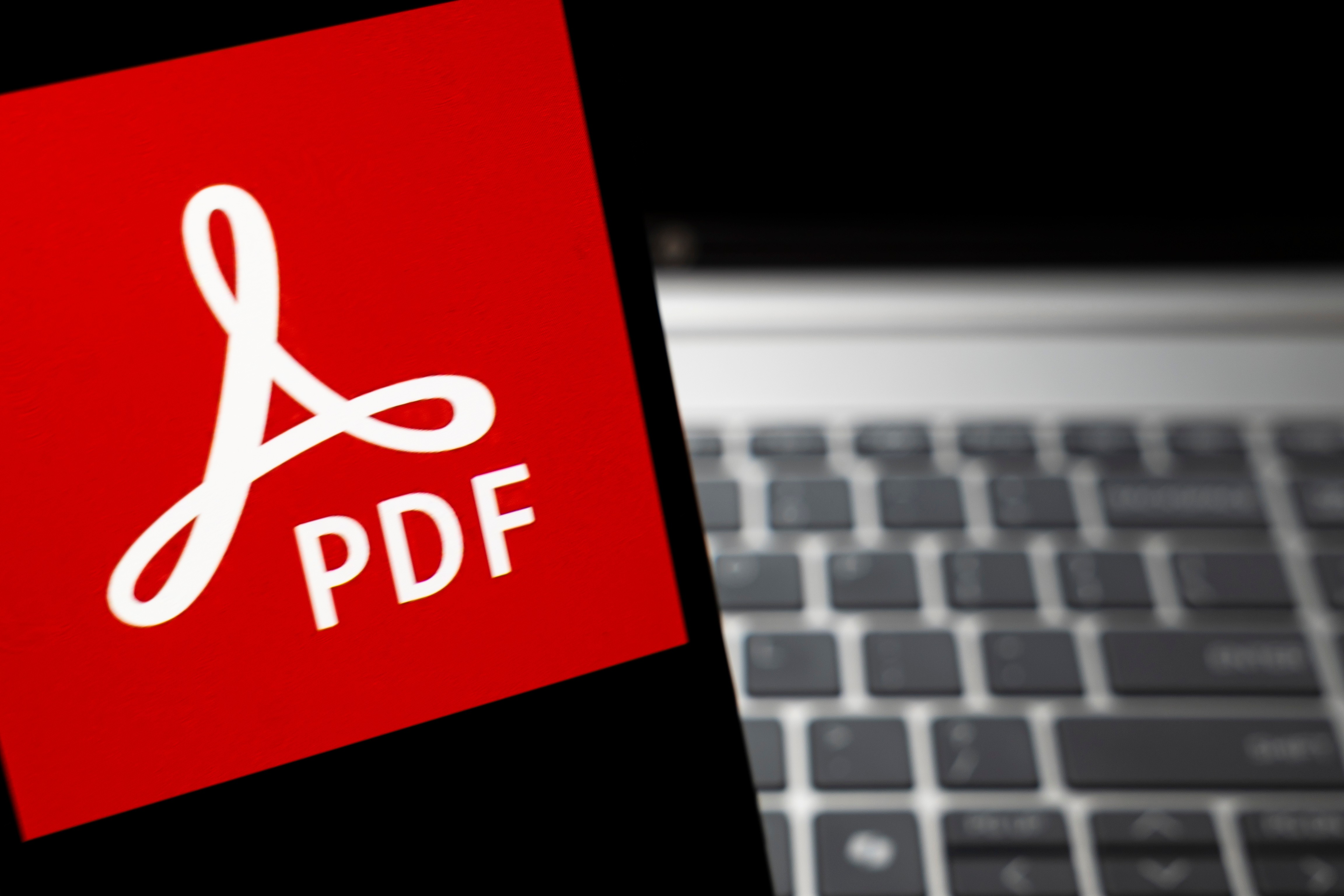 PDF Logo vor einem Notebook