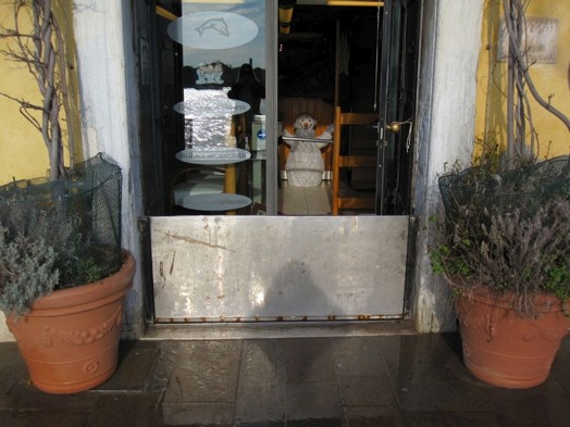 windows shop seen from the outside
