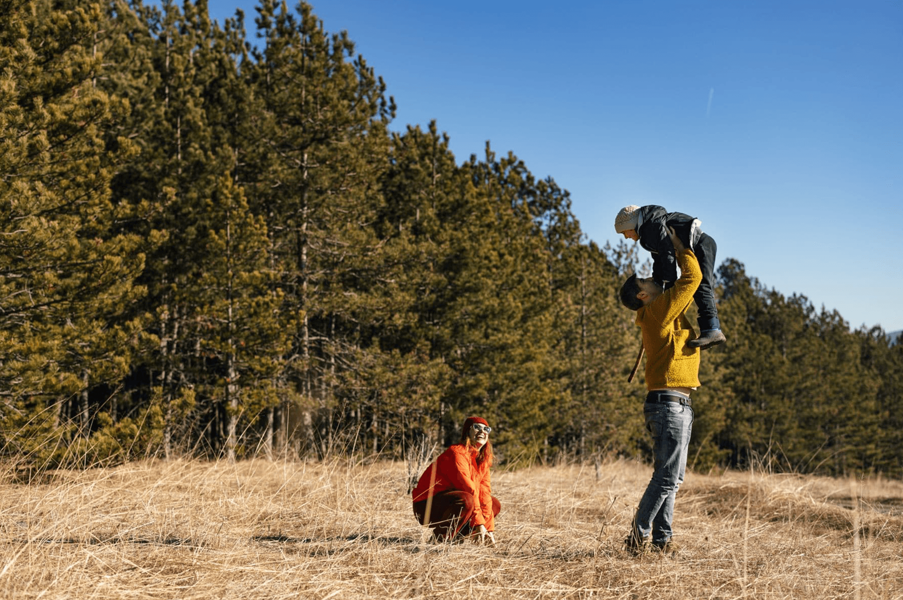 person checking expenses on ther laptop