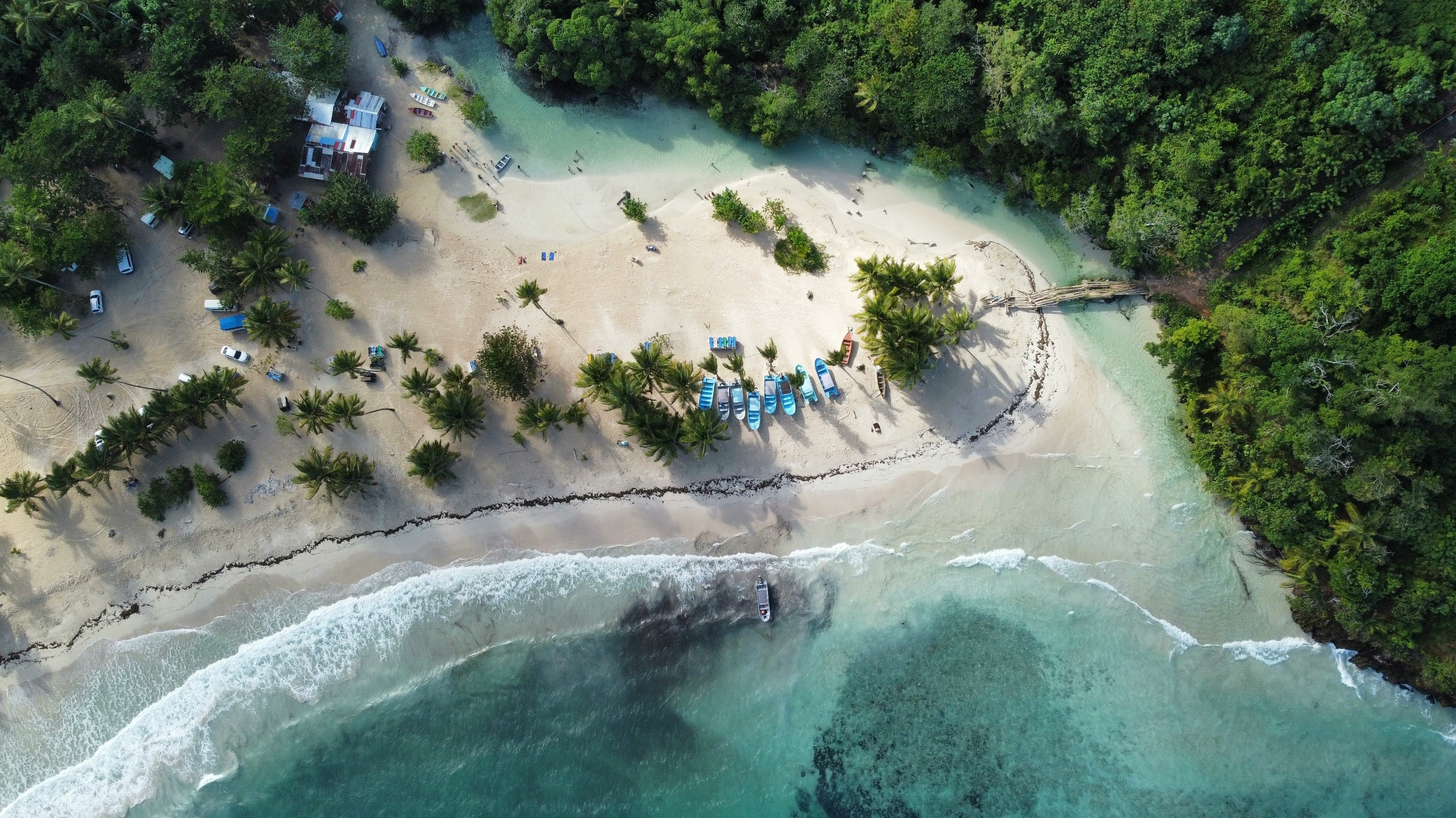 A scenic beach with trees and boats.
