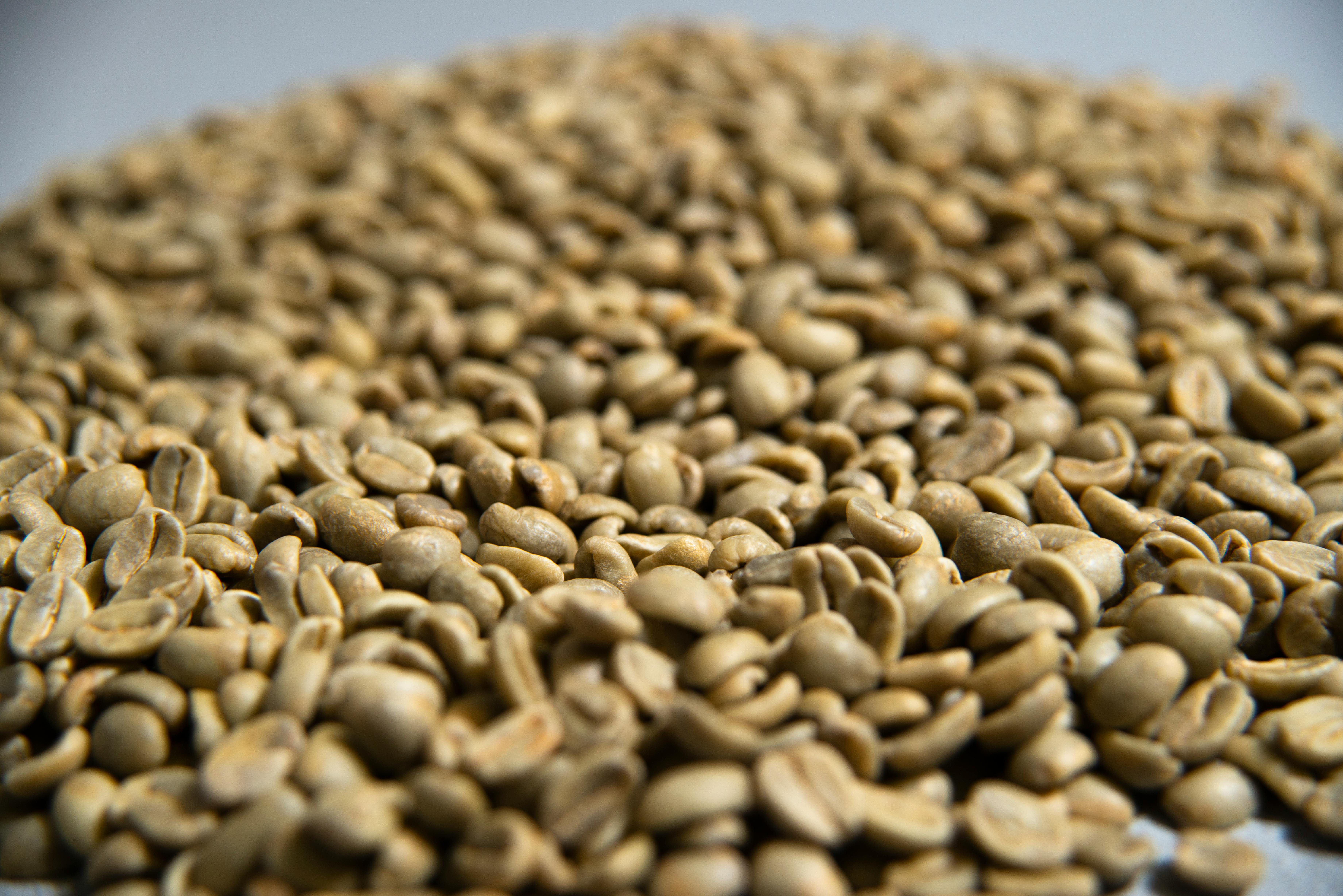 Fuji coffee beans