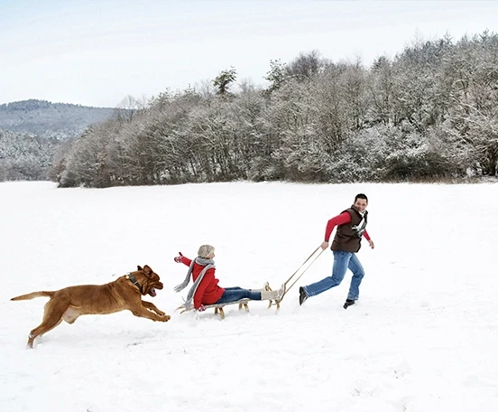 Famille qui s'amuse avec une luge et leur chien