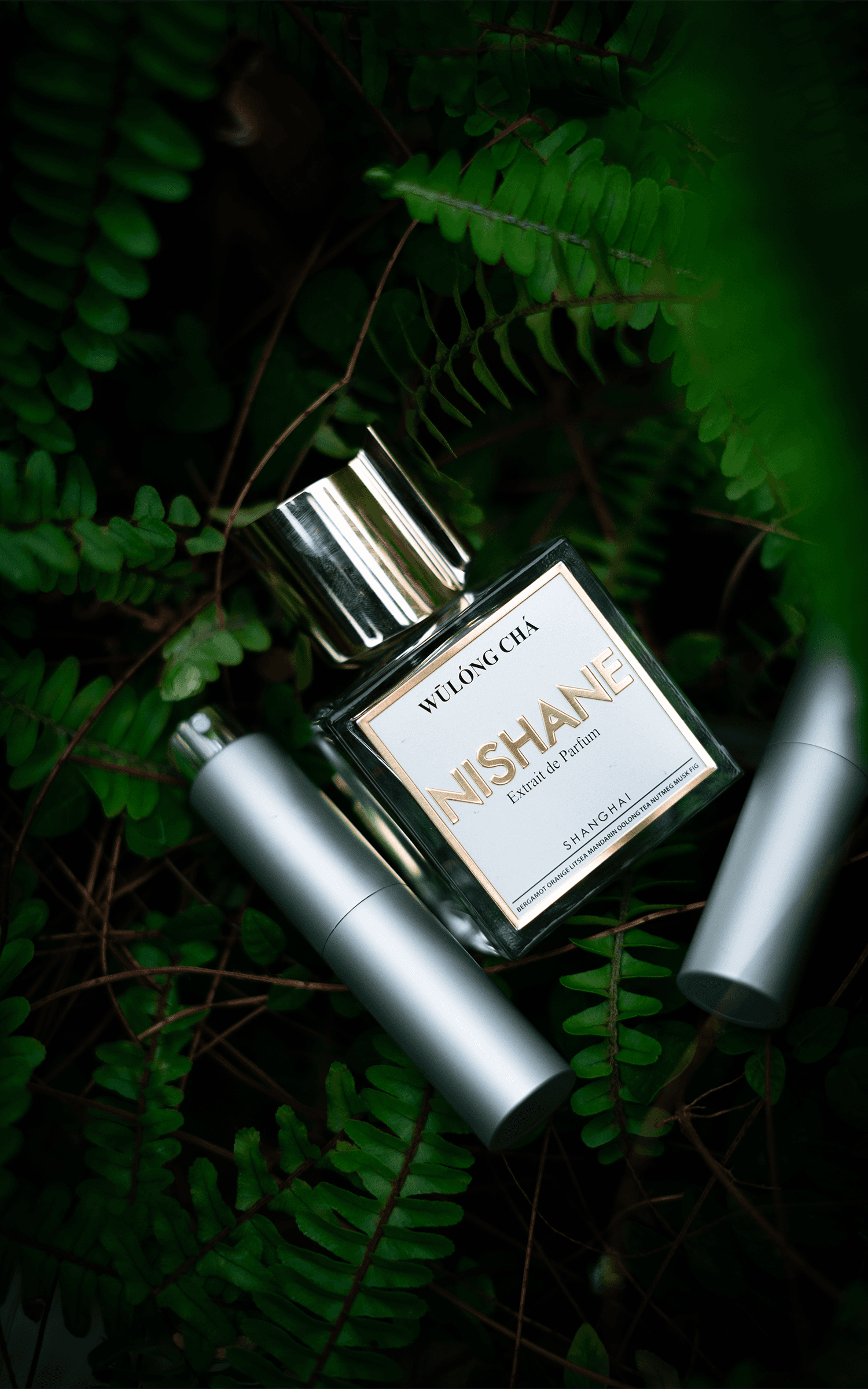 Man Wearing Black Coat