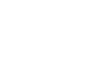 Dummy logo