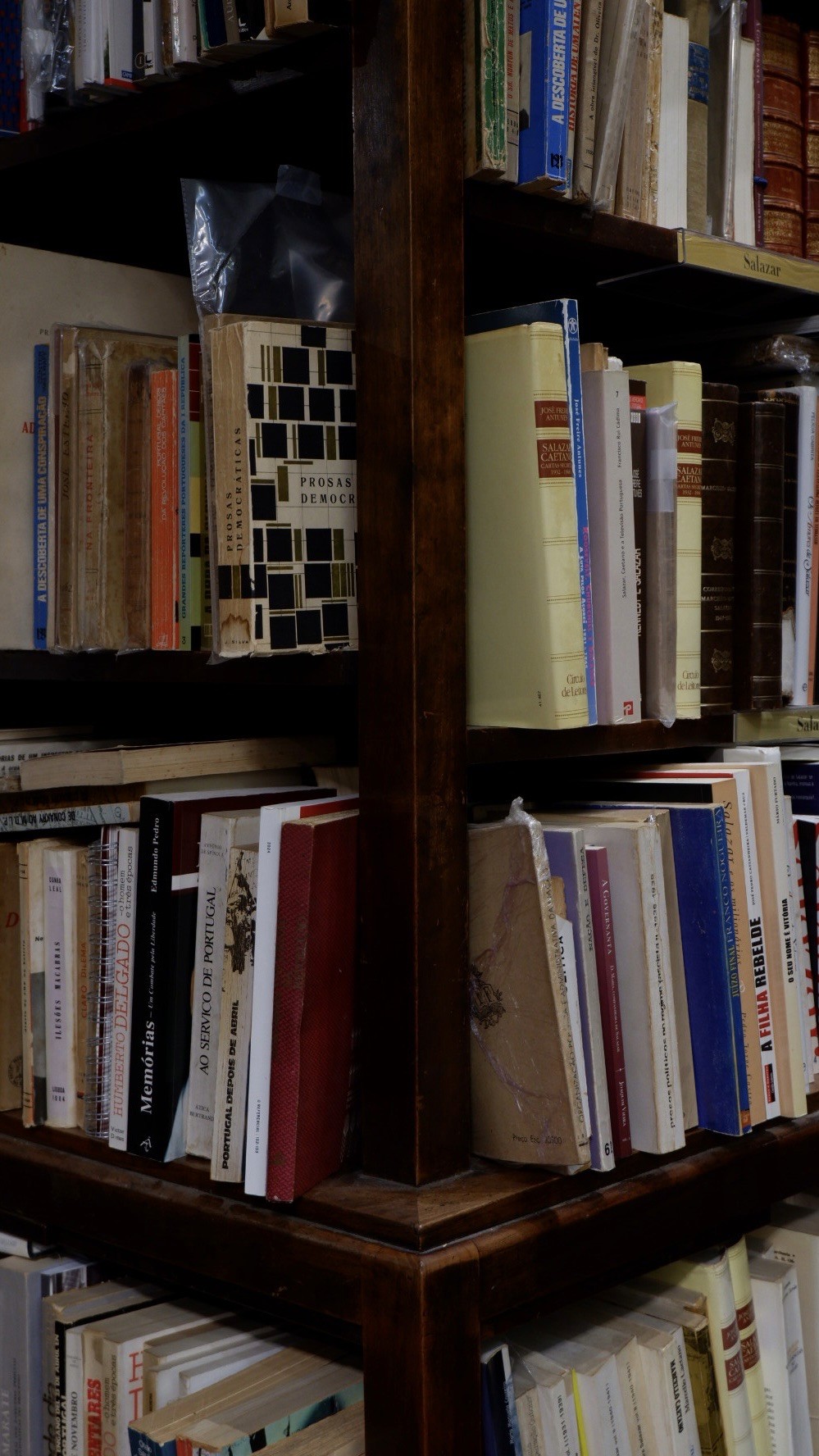 a corner where two wooden bookshelves packed with books meet