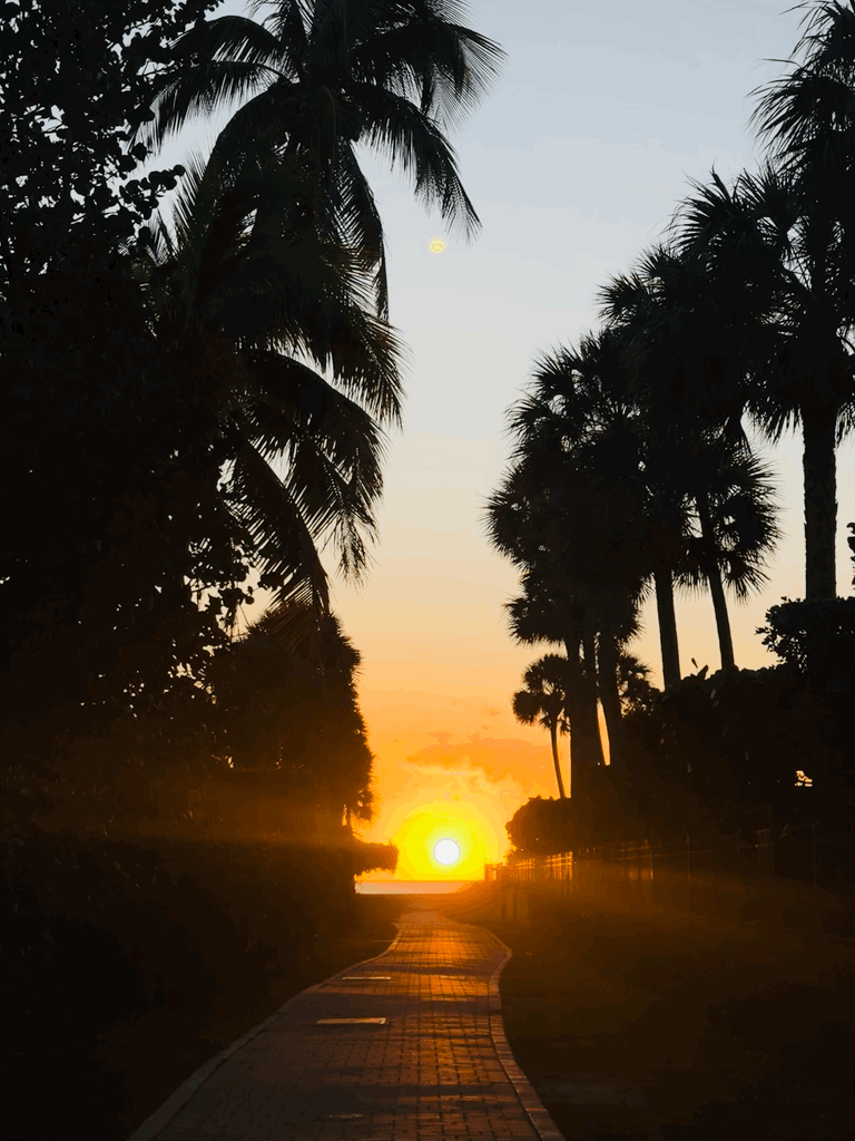 Framer Template for Product UX Designer