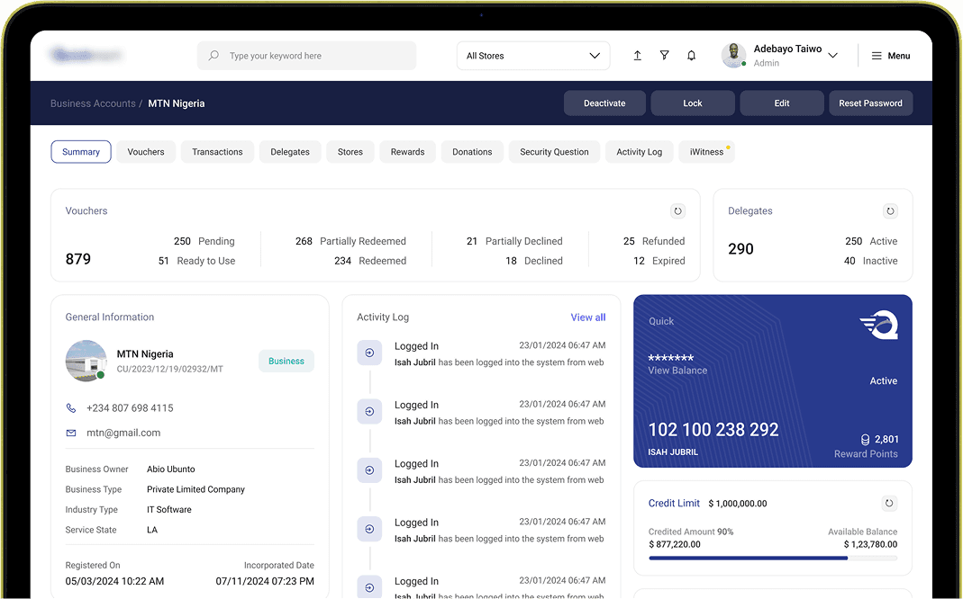 Business account summary