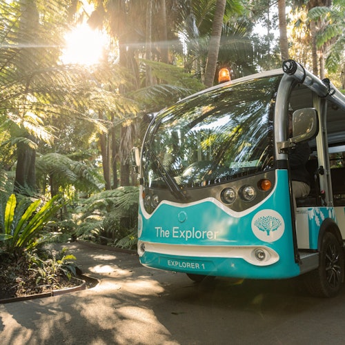 探索者，墨尔本花园