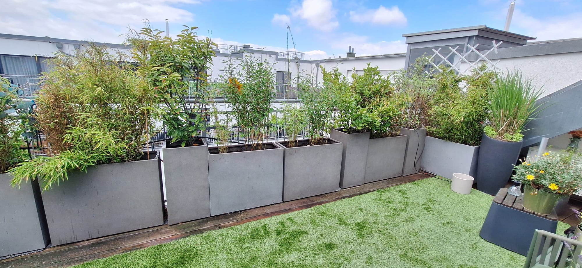 Gestalteter Wohnraum nach der Umgestaltung
