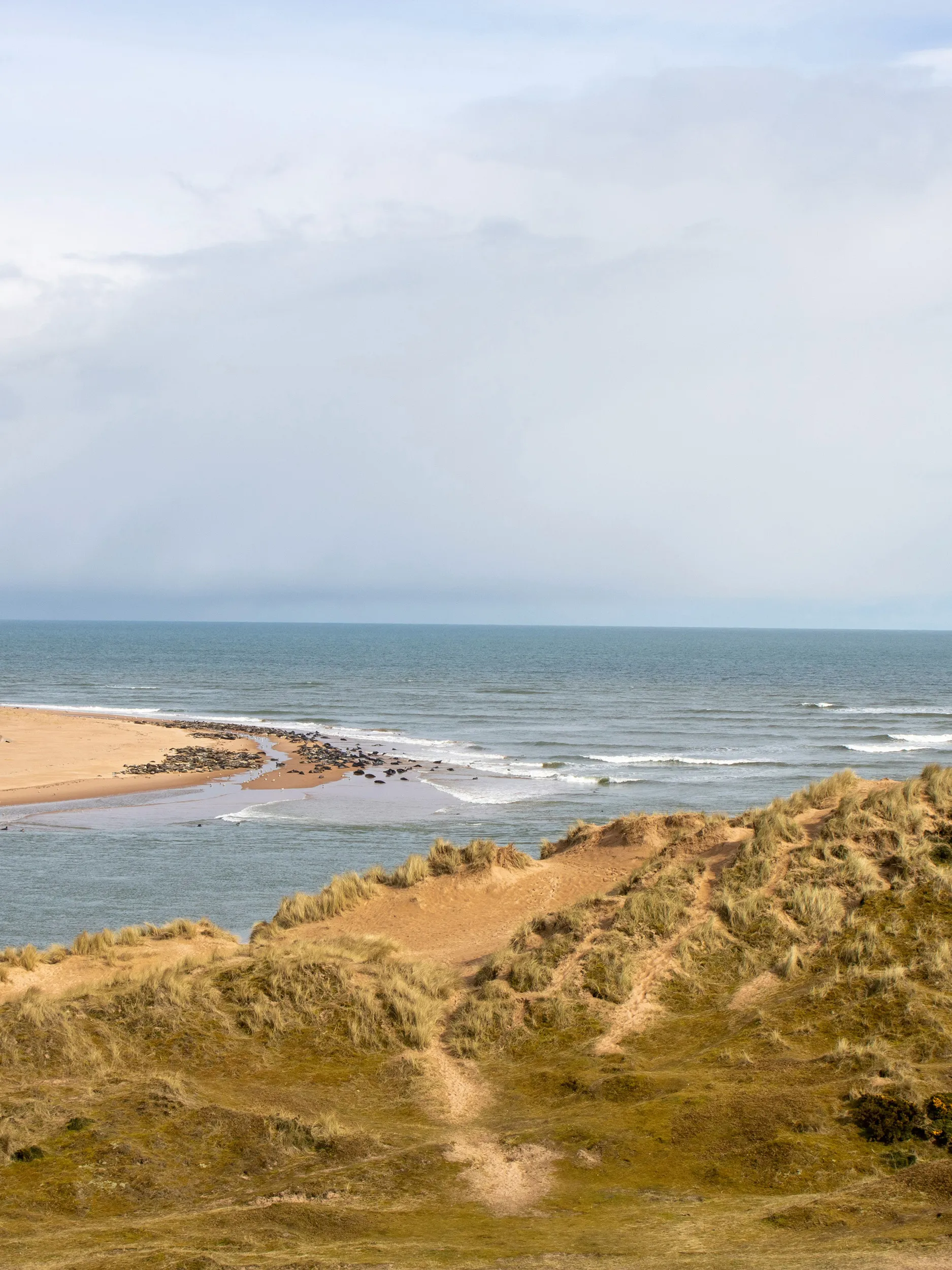 Loch Muick, Aberdeenshire by Pete Walls