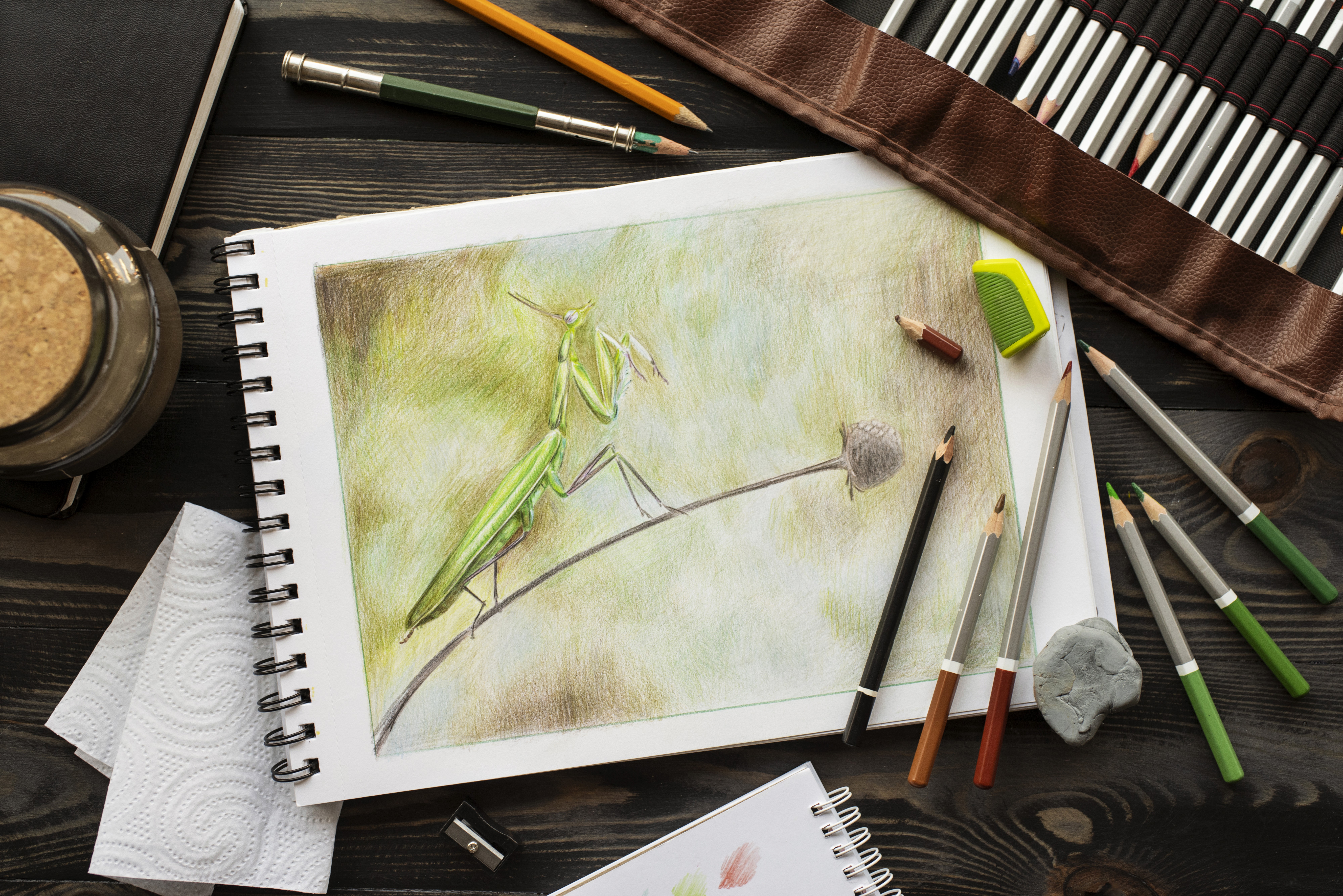 Image representing Bachelor of Visual Arts - Appli