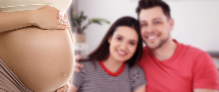 Mastering Follicle Health for a Successful Conception