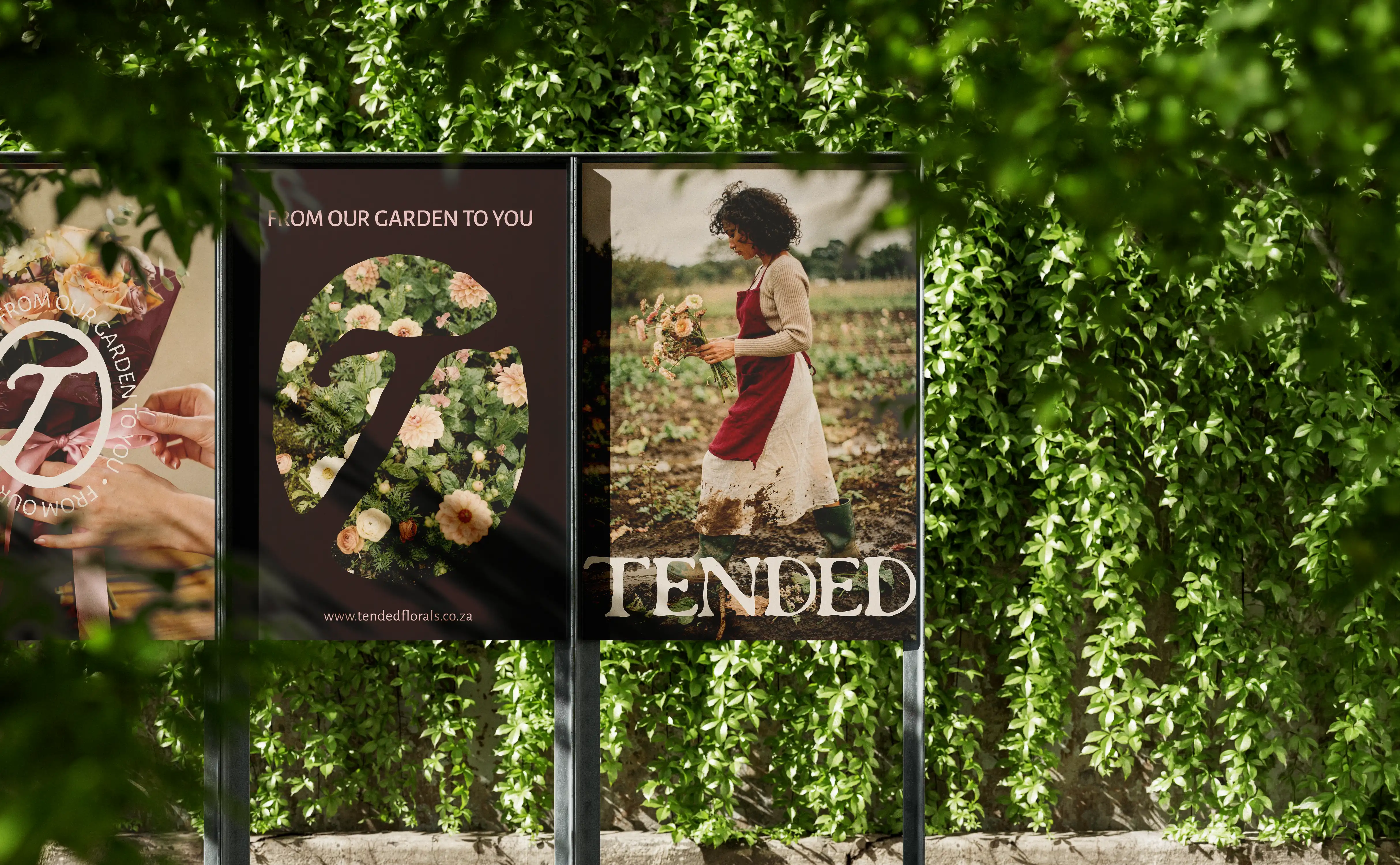 Tended brand identity — poster set with brand tagline, logomark, and photography against lush green foliage