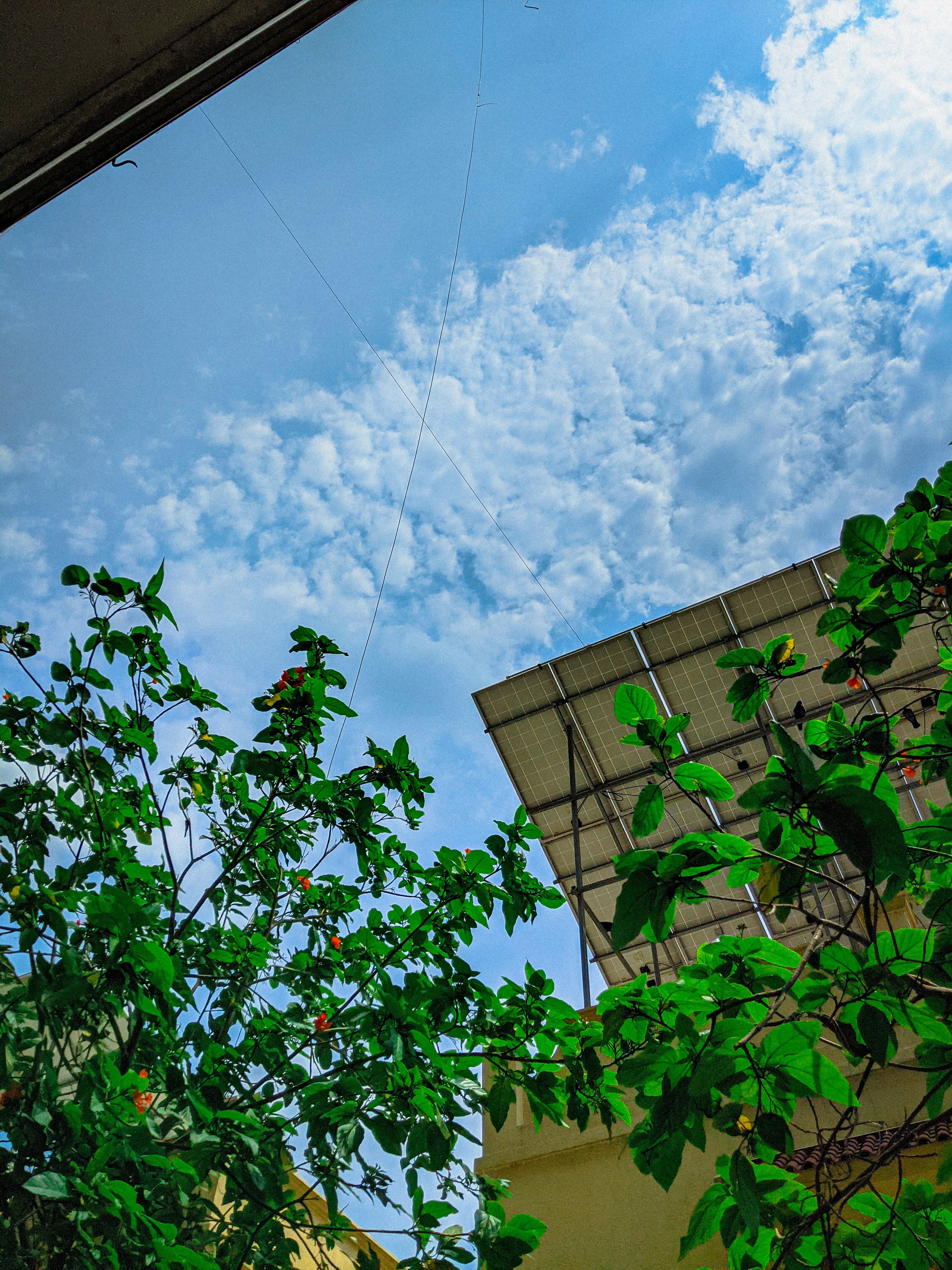 Abstract blurred motion photography of trees and buildings under a cloudy sky, artistic style by Samuel Singh Bhakuni.