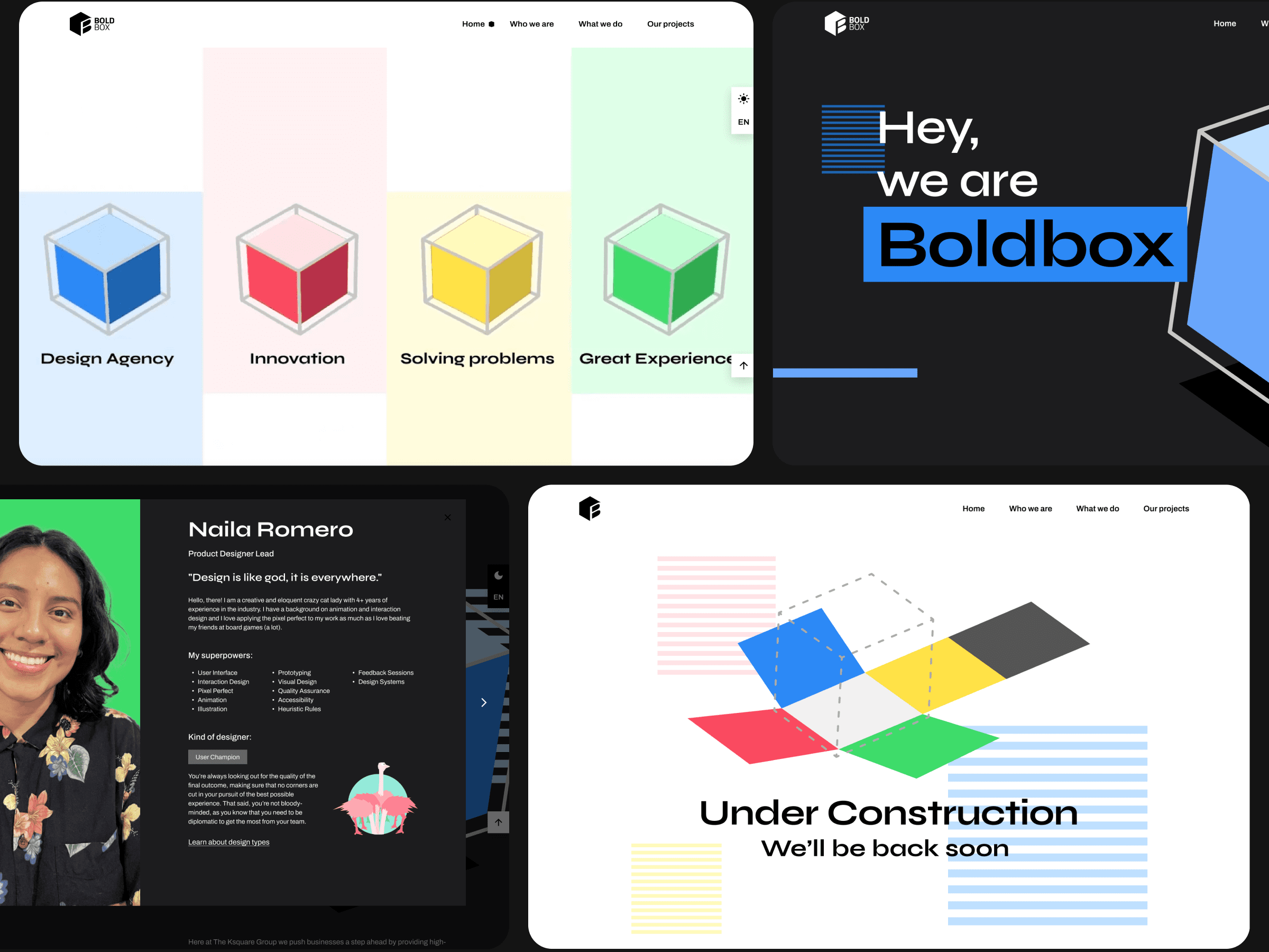 Different sections from the final website proposal.