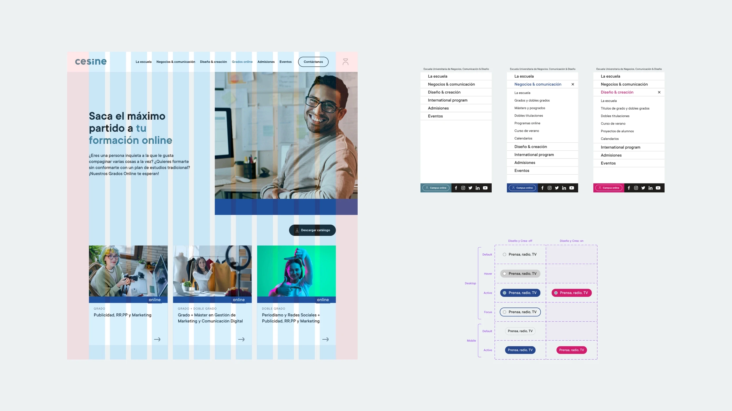 Sistema de diseño para website de Cesine
