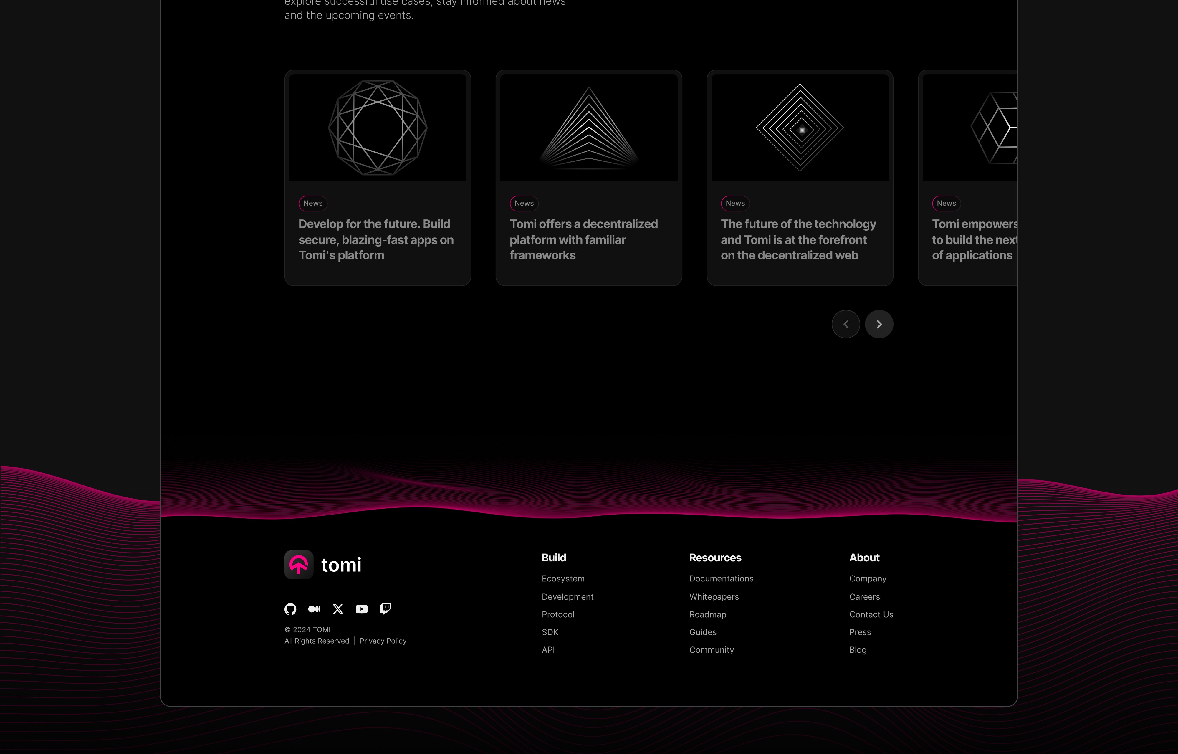 Tomi Website Design 3