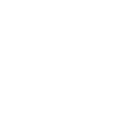 Dribbble White Logo