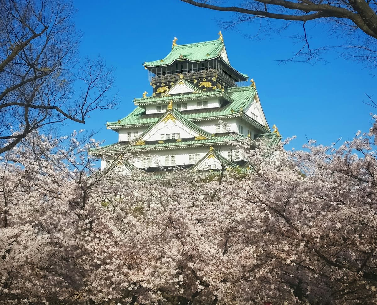 満開の桜と日本の城