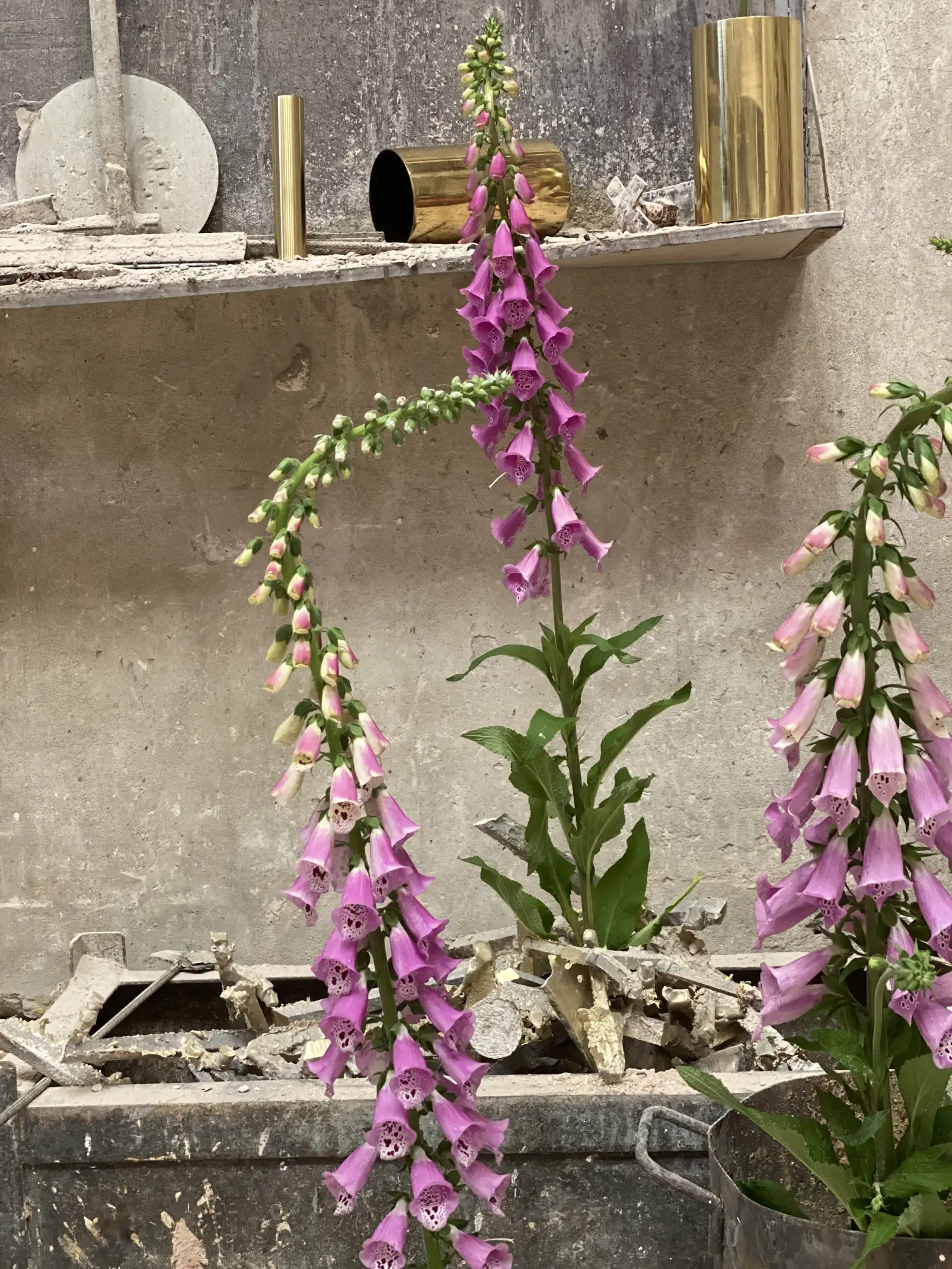 Composición de flores moradas en taller con piezas de bronce para artistas visuales que buscan contraste entre lo orgánico y lo industrial.