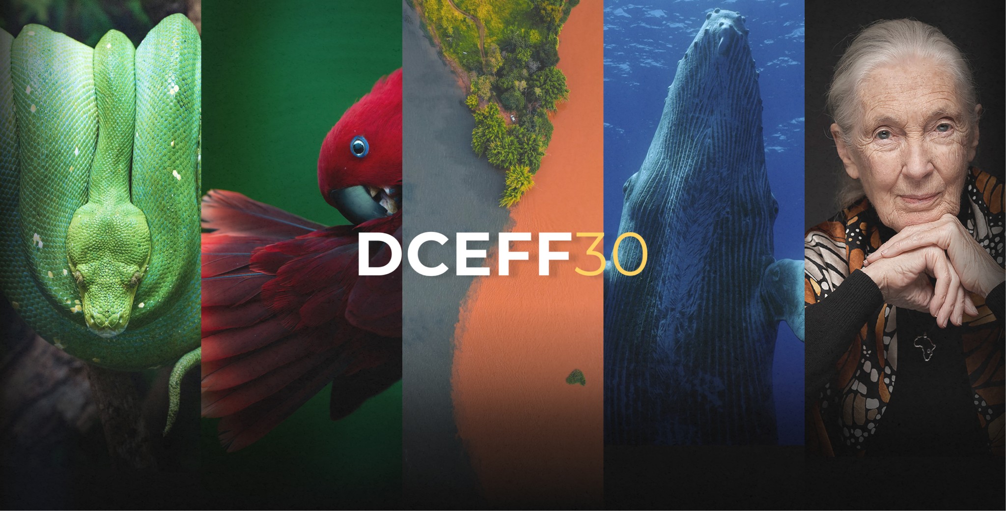 DCEFF30