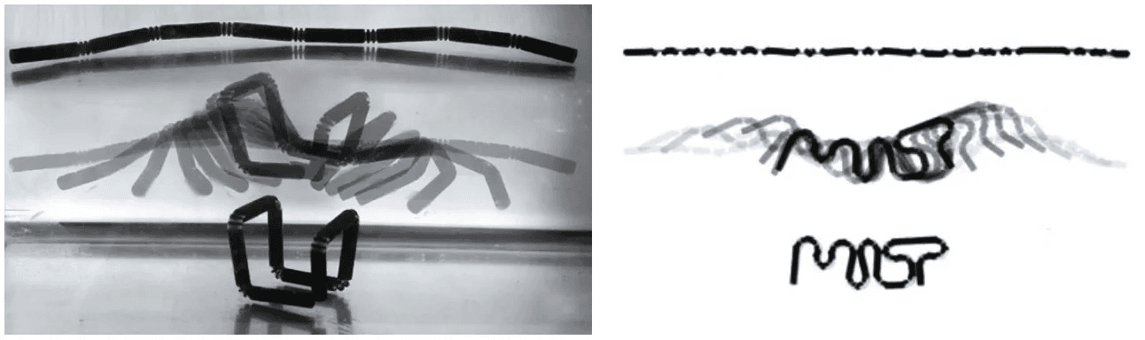 Figures 4–7. Neri Oxman (The mediated matter group). Aguahoja project. Water-based digital 3D printed fabrication with multimaterial chitosan. 2018.